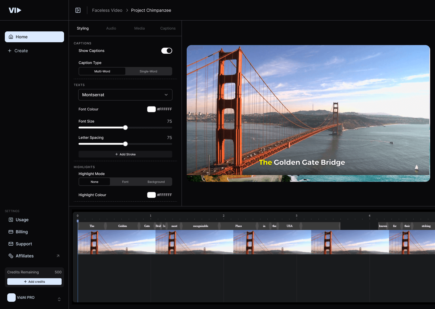Preview & Customize Your Video